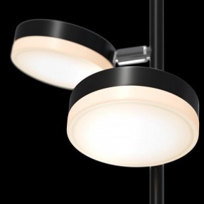 Торшер Maytoni Fad MOD070FL-L12B3K в Режи - rezh.mebel24.online | фото