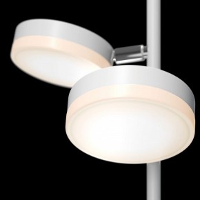 Торшер Maytoni Fad MOD070FL-L12W3K в Режи - rezh.mebel24.online | фото 5
