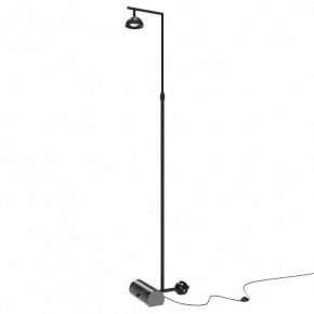 Торшер Maytoni Pikant MOD372FL-L10B3K в Режи - rezh.mebel24.online | фото