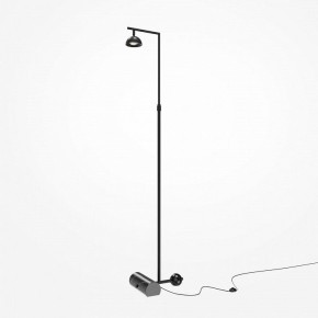 Торшер Maytoni Pikant MOD372FL-L10B3K в Режи - rezh.mebel24.online | фото 2