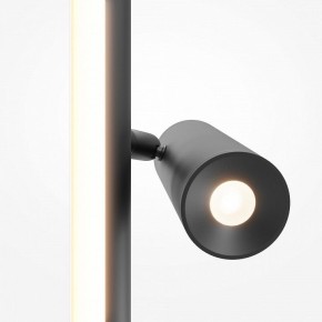 Торшер Maytoni Thin MOD395FL-L28B3K в Режи - rezh.mebel24.online | фото 6