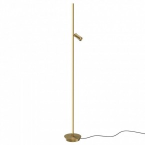 Торшер Maytoni Thin MOD395FL-L28BS3K в Режи - rezh.mebel24.online | фото