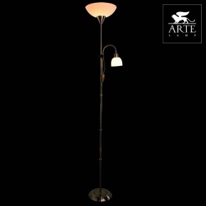 Торшер с подсветкой Arte Lamp Duetto A9569PN-2AB в Режи - rezh.mebel24.online | фото 3