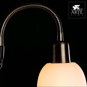 Торшер с подсветкой Arte Lamp Duetto A9569PN-2AB в Режи - rezh.mebel24.online | фото 4