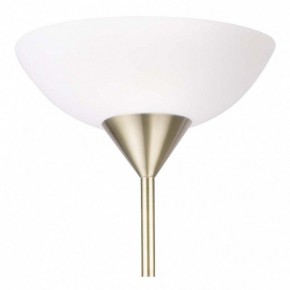 Торшер с подсветкой Arte Lamp Duetto A9569PN-2AB в Режи - rezh.mebel24.online | фото 5