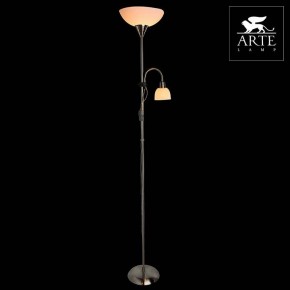 Торшер с подсветкой Arte Lamp Duetto A9569PN-2SS в Режи - rezh.mebel24.online | фото 3
