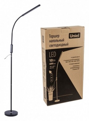 Торшер Uniel ULM-T619 UL-00010178 в Режи - rezh.mebel24.online | фото 2