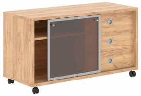 Тумба комбинированная Born B 202.2A в Режи - rezh.mebel24.online | фото