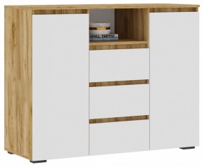 Тумба комбинированная Элла КМ 01 в Режи - rezh.mebel24.online | фото