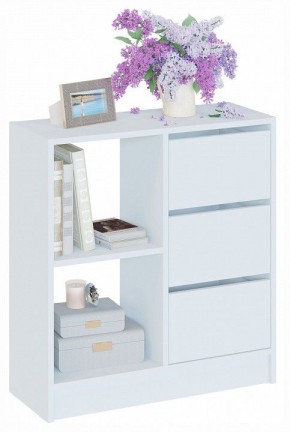 Тумба комбинированная Т-1 в Режи - rezh.mebel24.online | фото