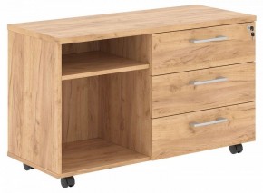 Тумба комбинированная Torr-Z TLC-3D.1A в Режи - rezh.mebel24.online | фото