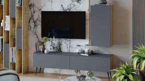 Тумба под ТВ Порто СМ-393.03.011 в Режи - rezh.mebel24.online | фото 5