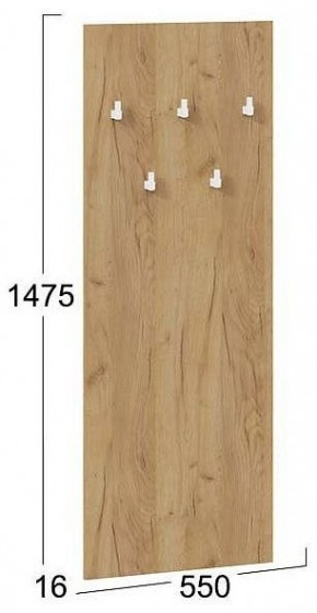 Вешалка настенная Хилтон Исп.2.1 в Режи - rezh.mebel24.online | фото 4