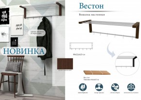 Вешалка-полка Вестон в Режи - rezh.mebel24.online | фото 3