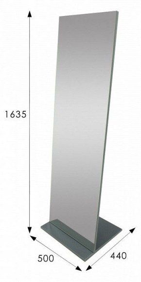 Зеркало напольное Стелла 2 в Режи - rezh.mebel24.online | фото 9